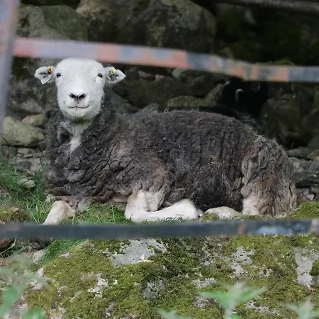 The Nyaraló Ulverston